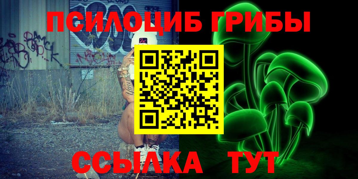 Псилоцибиновые грибы Psilocybine cubensis Карачаевск